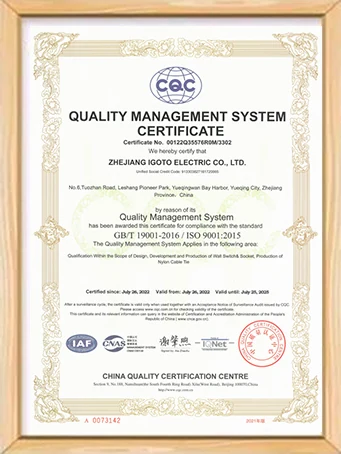 IGOTO QMS Certificate 00122Q35576R0M/3302