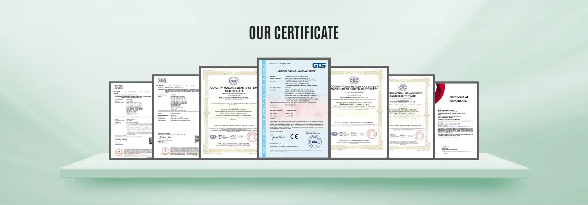 certificate - IGOTO