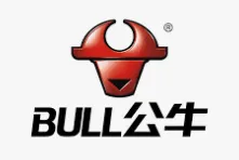 Bull Group