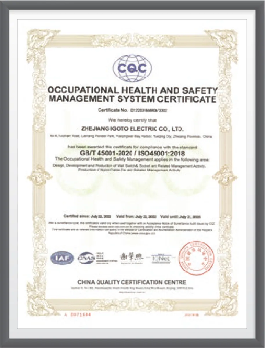 IGOTO ISO 45001 occupational health and safety management system certificate